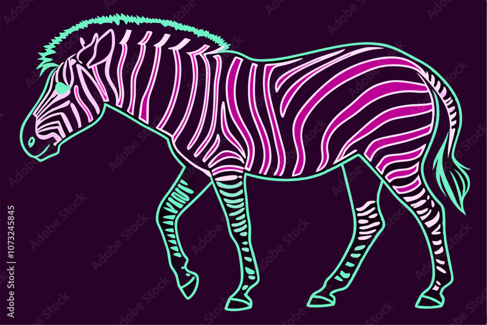Fototapeta premium Zebra on black Background