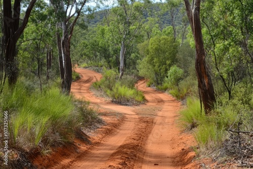 Sandy off road bush track in the outback forest.