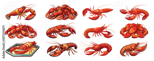 illustration of lobster fillets isolated on white, Lobster Bundle
