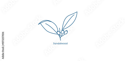 Vector Icon for Sandalwood Fragrance