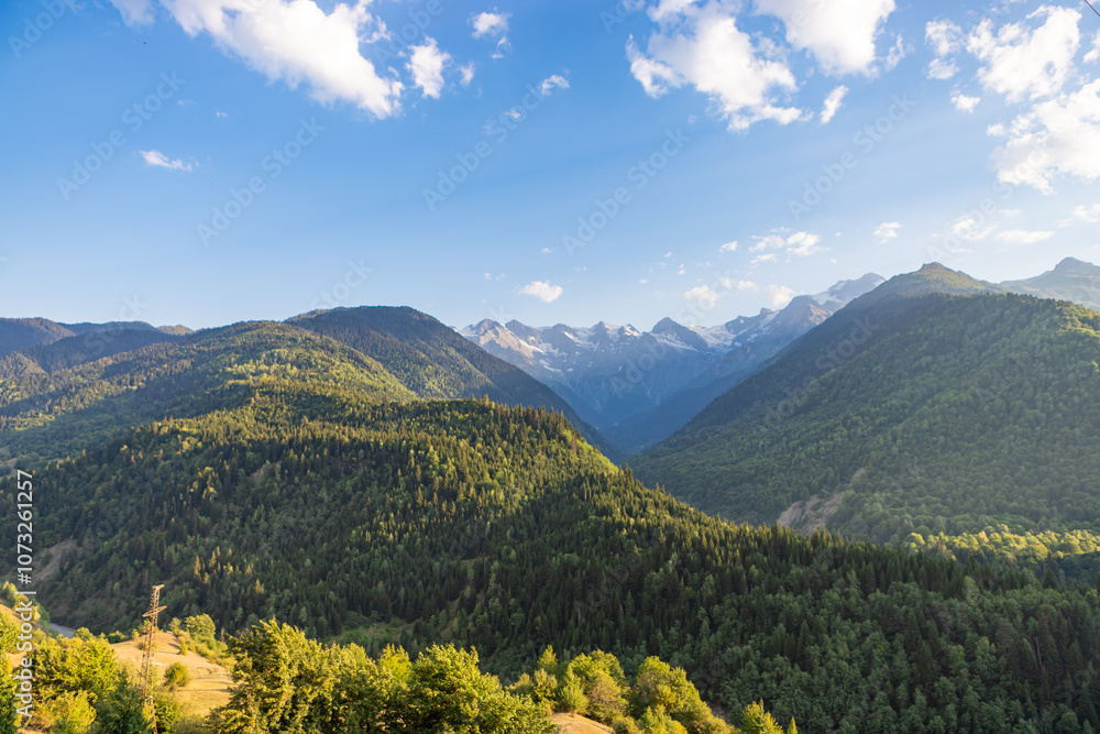 Beautiful Svaneti landscape with forest and mountains near Mestia in Summer. Upper Svaneti region, Georgia.