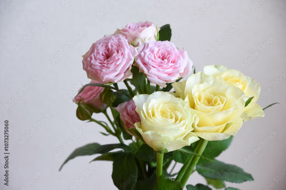 ピンクと黄色のばら