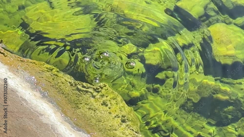 Natural Open Air Hot Springs, Steam is Coming from hot rocks and water surface Natural Open Air Hot Springs, Steam is Coming from hot rocks and water surface