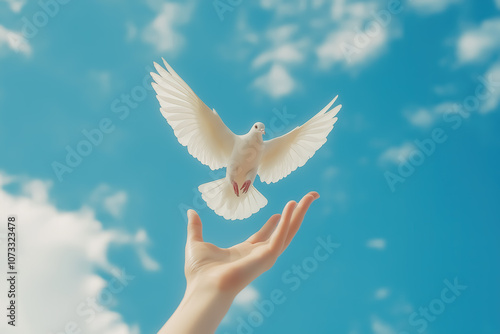 An open hand releasing a dove into the sky, representing freedom and hope for human rights photo