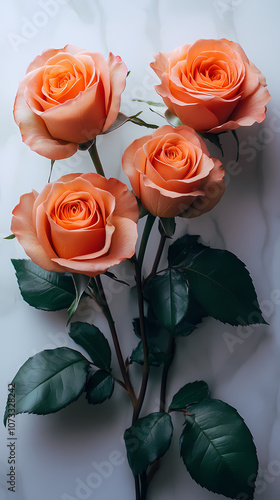 Valentine's Day Rose Bouquet