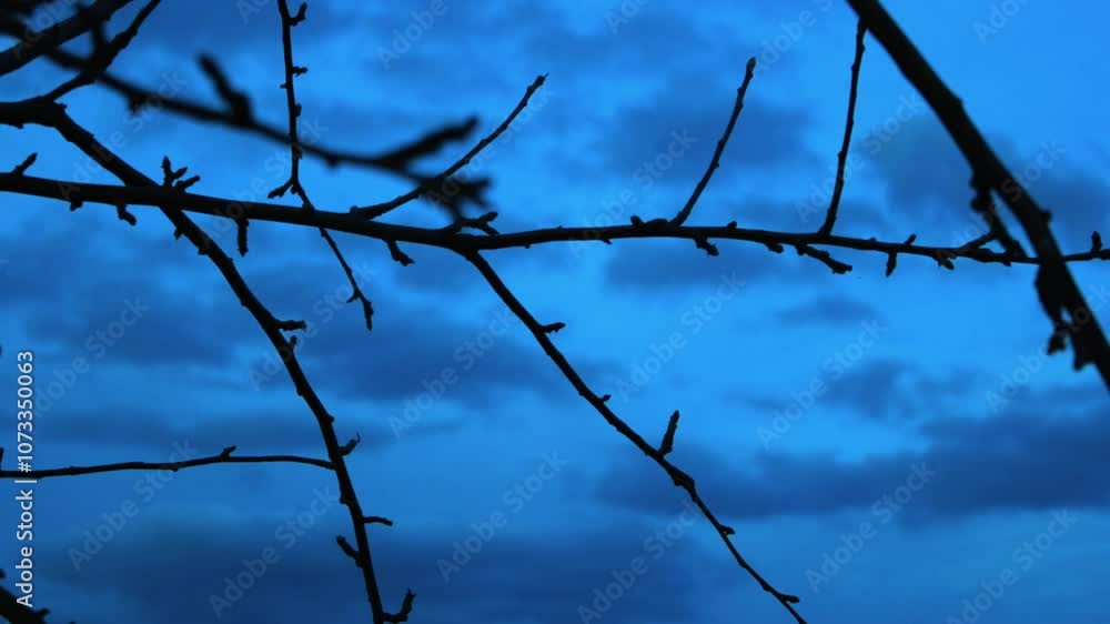the sky that runs is beautiful blue the sky that runs is beautiful blue