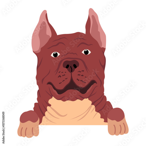 Dog hanging on border. Portrait of muzzles with paws. Front view. Flat vector design