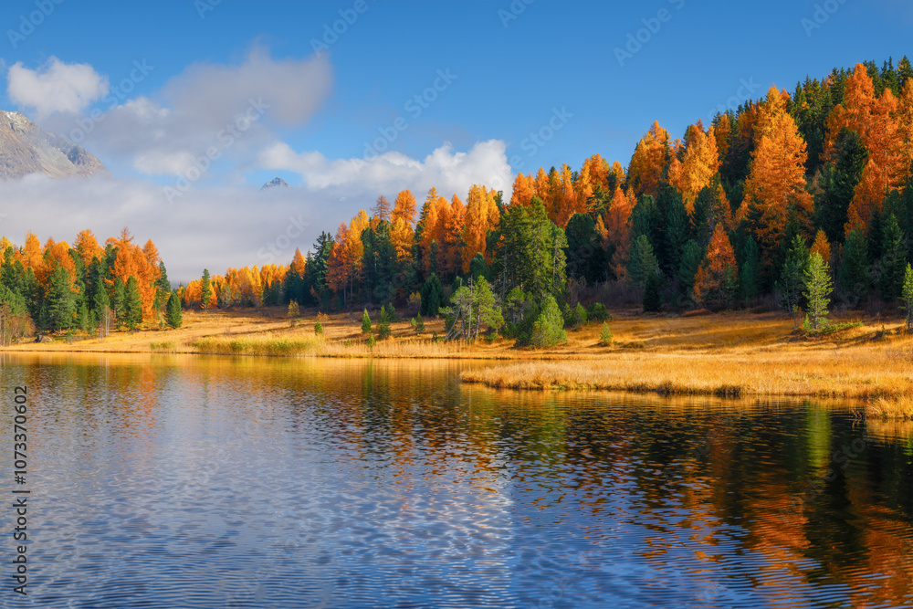 Autumn landscape in Switzerland. Sunrise in the mountains. Clouds and fall forest. Incredible view of the mountain valley. Photo for background, wallpaper, postcards. Autumn landscape in Switzerland. Sunrise in the mountains. Clouds and fall forest. Incredible view of the mountain valley. Photo for background, wallpaper, postcards.
