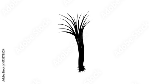 Long onion, black isolated silhouette
