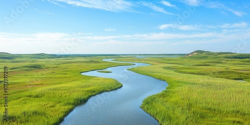 A meandering river delta where freshwater meets the sea, a blend of river channels and wetlands filled with tall grasses, viewed from above