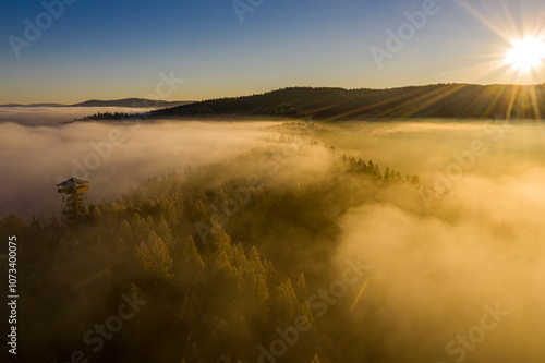 Góra Malnik, Dolina Popradu, Beskid Sądecki, Małopolska, jesień