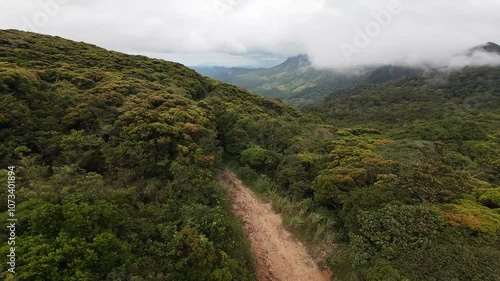 On a road through the trees on top of a misty mountain 4K stock video