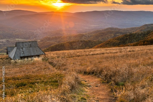 Fototapeta Naklejka Na Ścianę i Meble -  Bieszczady Mountains in the Warm Embrace of Autumn