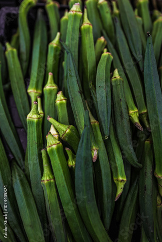 Green lady's finger or ocher (Abelmoschus esculentus) at the vegetable market. Plant background photo