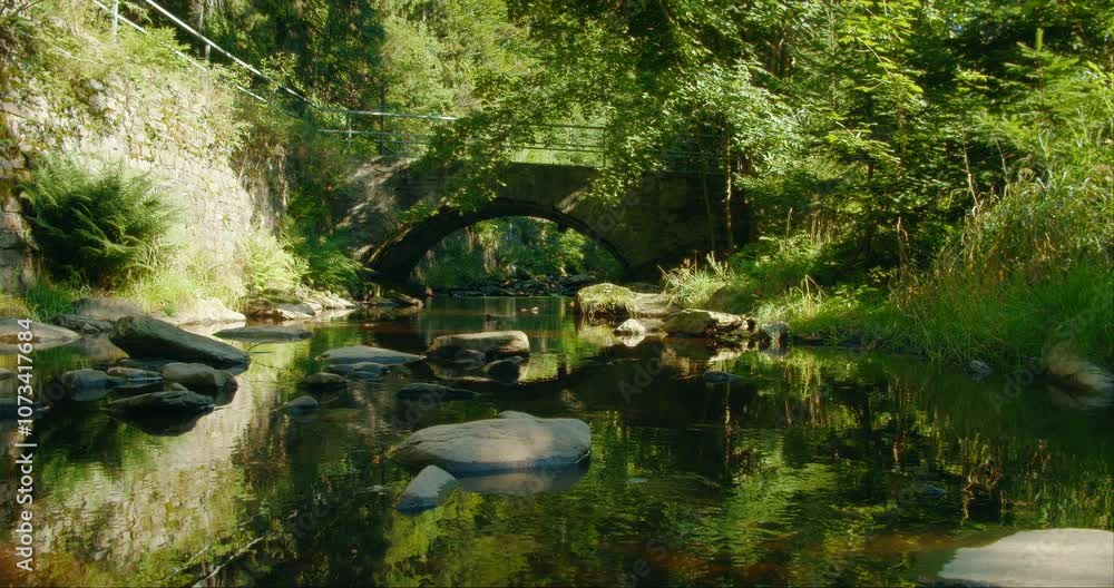 Stone bridge reflecting in the calm river surrounded by lush foliage and vibrant green summer forest Stone bridge reflecting in the calm river surrounded by lush foliage and vibrant green summer forest