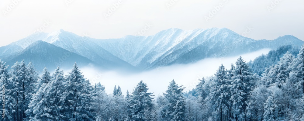 Obraz premium A serene winter landscape featuring snow-covered mountains and evergreen trees shrouded in mist.