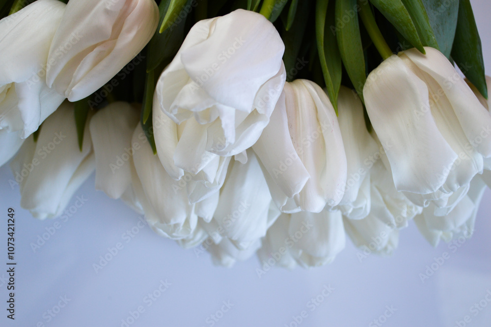 Obraz premium Bouquet of White Tulips on Table