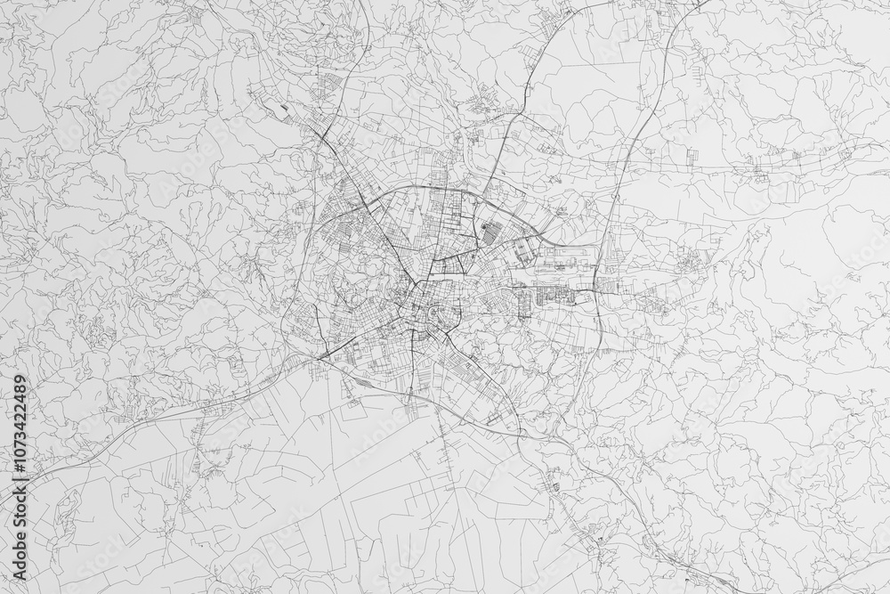 Map of the streets of Ljubljana (Slovenia) on white background. 3d render, illustration Map of the streets of Ljubljana (Slovenia) on white background. 3d render, illustration