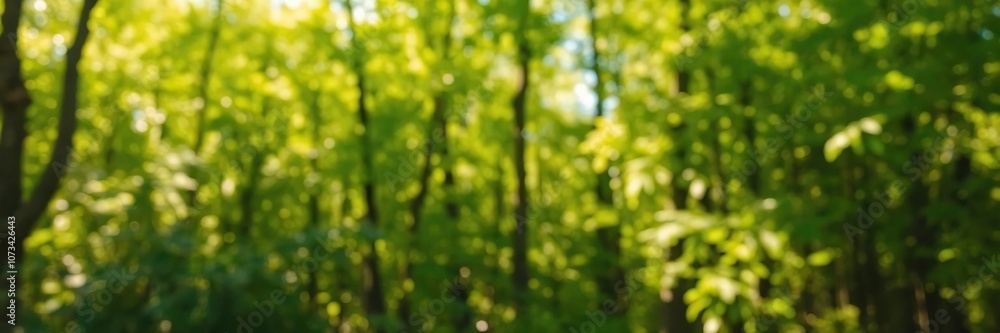 Blurred forest background with vibrant green foliage and soft sunlight filtering through trees, beauty, forest Blurred forest background with vibrant green foliage and soft sunlight filtering through trees, beauty, forest