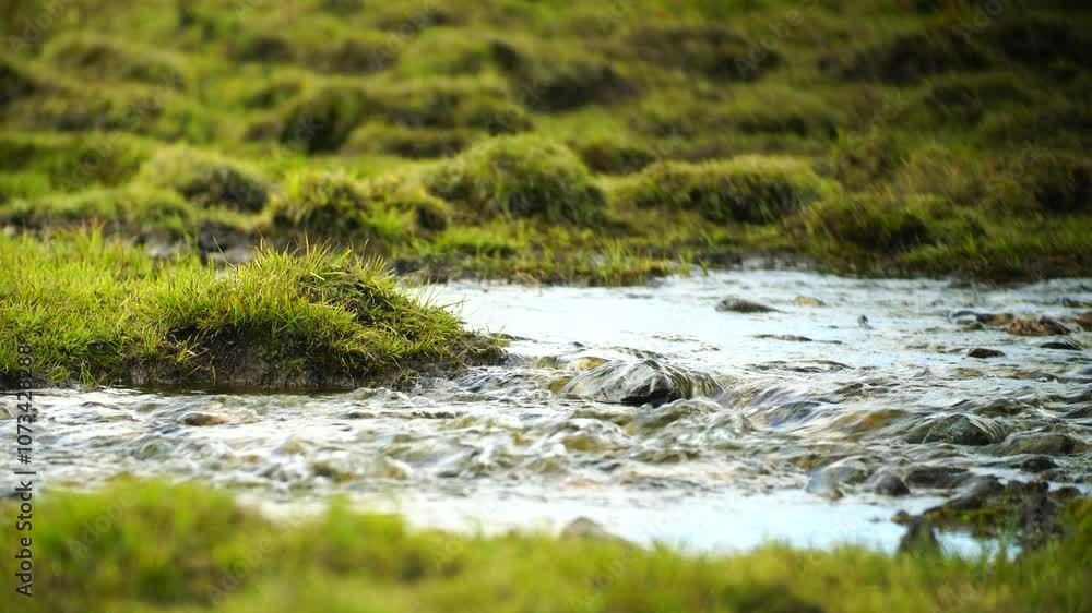 mongolia, asia, landscape, river, stream mongolia, asia, landscape, river, stream