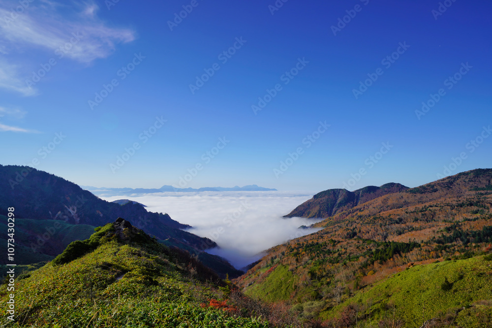 紅葉と雲海が織りなす日本の秋景色