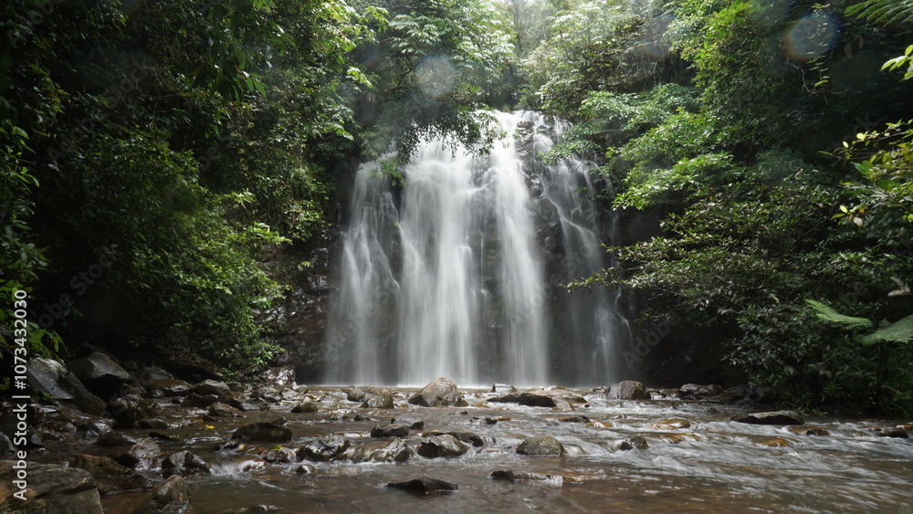 Fototapeta premium Ellinjaa falls on a rainy day in QLD Australia tropical rainforest