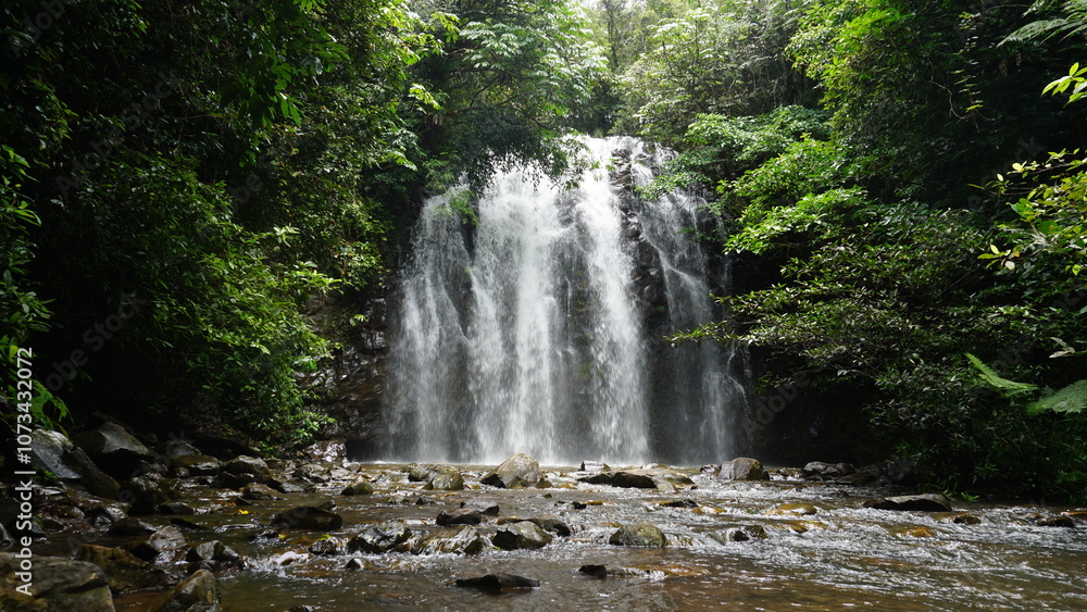 Fototapeta premium Tropical waterfall in North Queensland Australia jungle paradise Ellinjaa falls