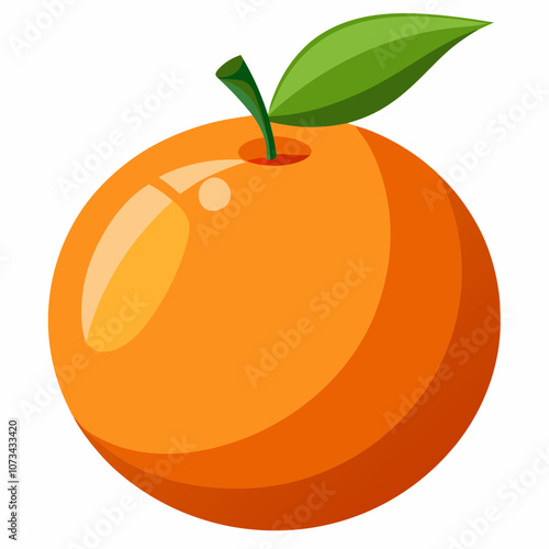 orange fruit vector illustration