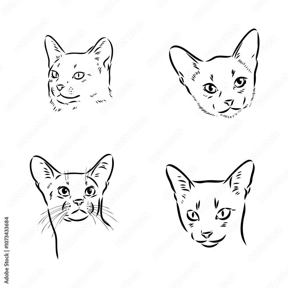 Fototapeta premium Abyssinian, cat breeds illustration with inscription, hand drawn doodle, sketch