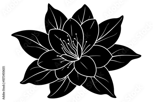 Azalea Flower Vector Illustration.