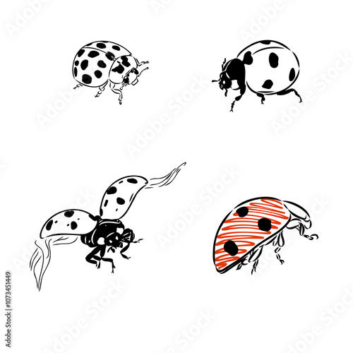 Cute ladybug cartoon character outline