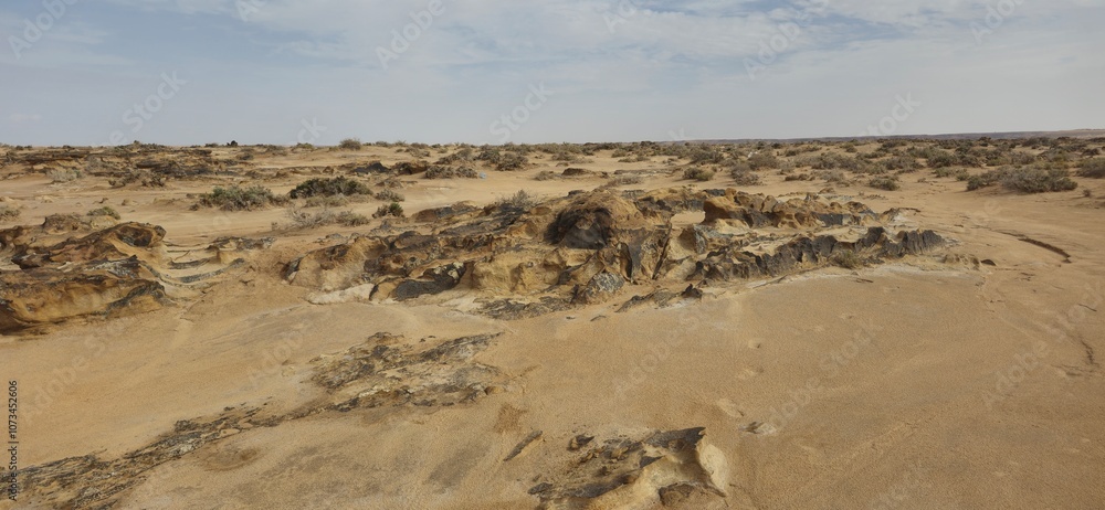 Fototapeta premium Sammar in Tunisia, Moon Surface Area, Desert Rocks 
