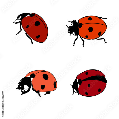 Cute ladybug cartoon character outline