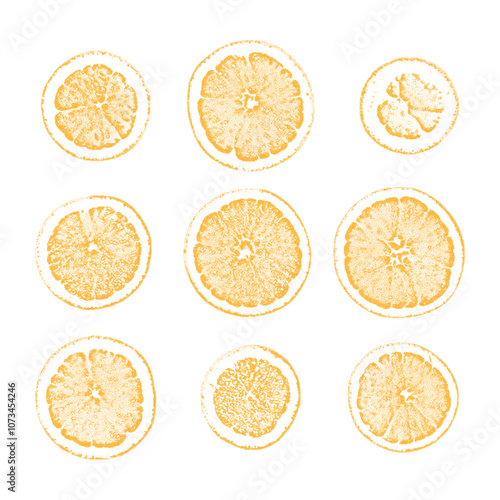 Orange slices stippling retro Christmas vector elements