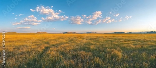 Wide panoramic view of a grassy field with rolling hills in the distance and a blue sky with fluffy clouds.