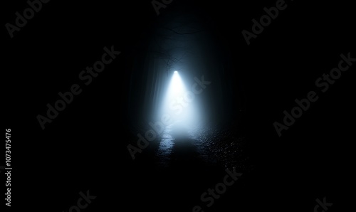 A mysterious, foggy path illuminated by a beam of light, evoking intrigue and solitude.