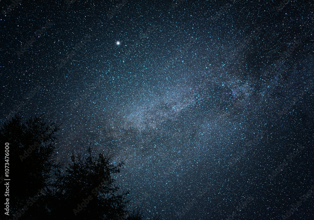 Starry sky. Night scape with beautiful starry sky