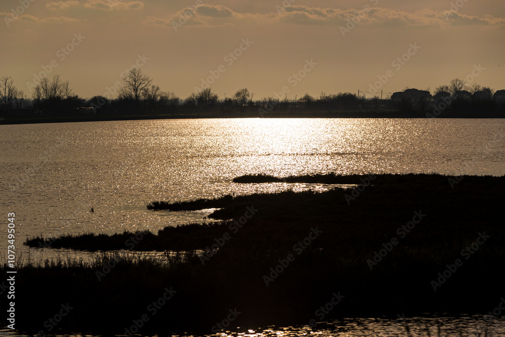 Venice lagoon