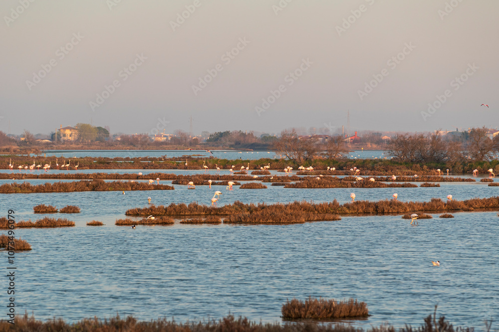Venice lagoon