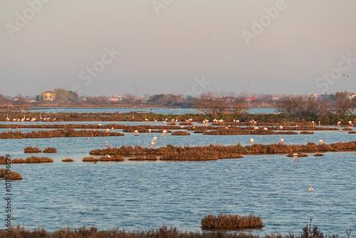 Venice lagoon