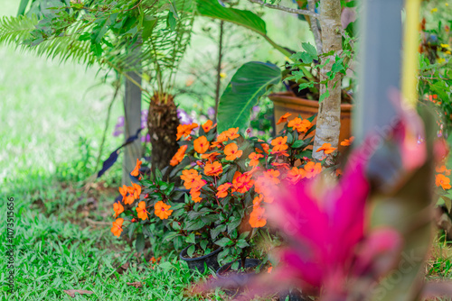 Wallpaper Mural Flower garden landscape background, garden decoration in cafes and restaurants, for beauty and a photo corner for customers to relax and unwind their eyes. Torontodigital.ca