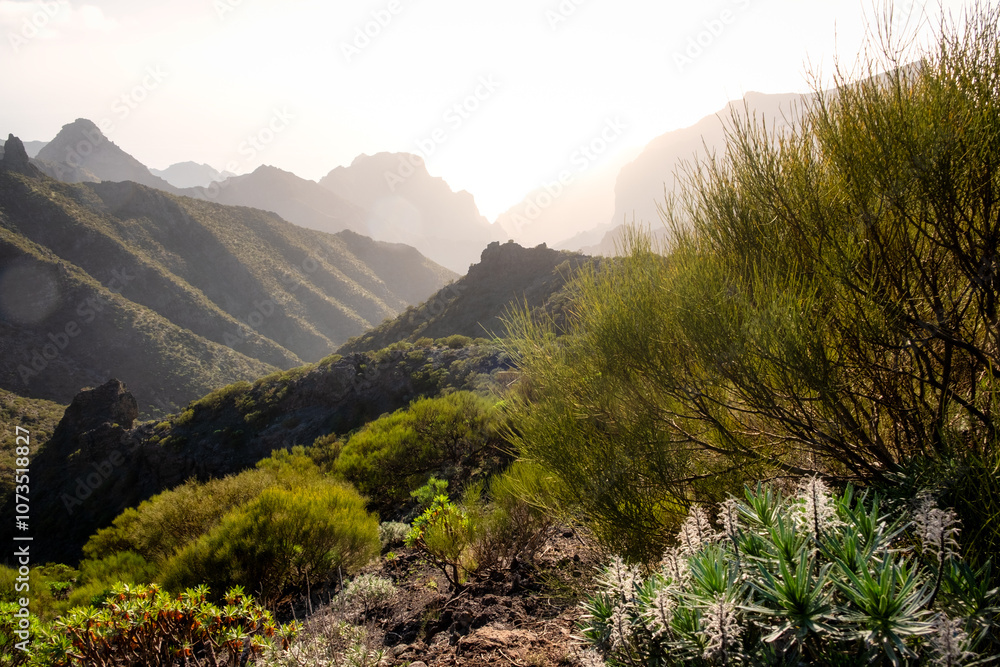 Sunset landscape view of coastline hills and tropical vegetation, near Masca, Tenerife Sunset landscape view of coastline hills and tropical vegetation, near Masca, Tenerife