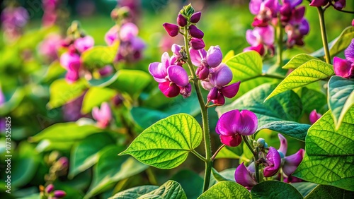 Vibrant green shim flowers: flourishing farm aesthetic. photo