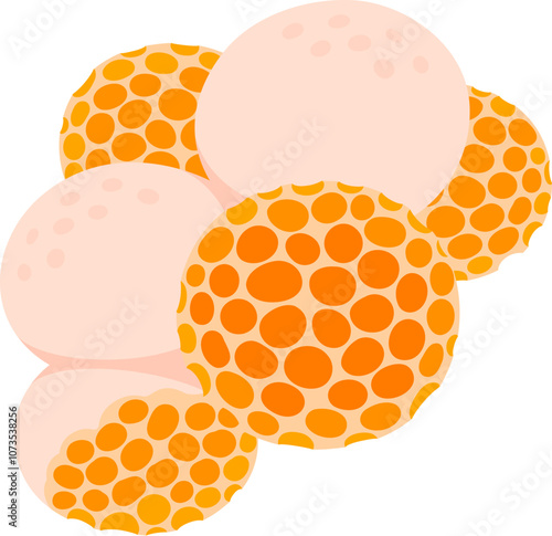 Digüeñe (Cyttaria espinosae) edible ascomycete fungus native to Chile and Argentina. Simple cartoon vector illustration.