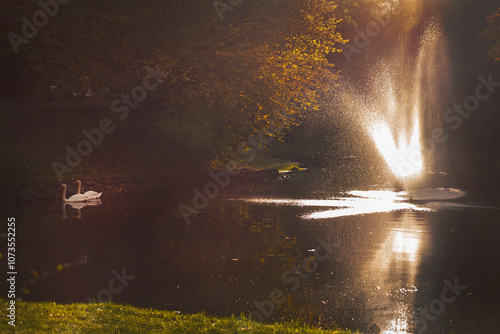 Fototapeta Naklejka Na Ścianę i Meble -  The beautiful scene in the autumn park. Contrast image with two white swan near waterfall.