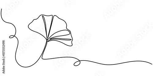 Ginkgo Biloba Leaves On White Background, Fresh ginkgo biloba green leaf continuous one line drawing, Ginkgo biloba leaves, Close-up of yellow leaves against white background