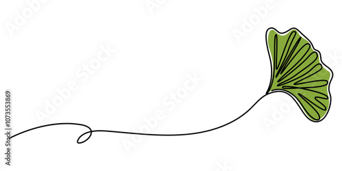 Ginkgo Biloba Leaves On White Background, Fresh ginkgo biloba green leaf continuous one line drawing, Ginkgo biloba leaves, Close-up of yellow leaves against white background