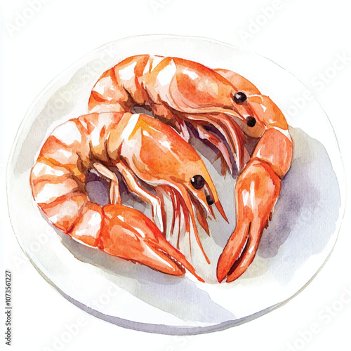 Shrimp watercolor clipart illustration