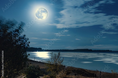 Obraz na płótnie
Brightly lit full moon on the beach of the Baltic Sea w salonie