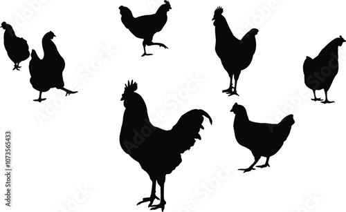 seven chicken body silhouette vector